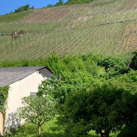 Am Kraeutergarten