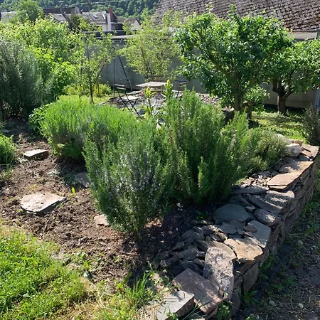 Hébergement de vacances Am Kraeutergarten *