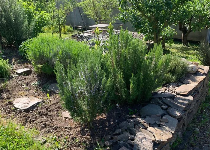 Casa de Férias Am Kraeutergarten *